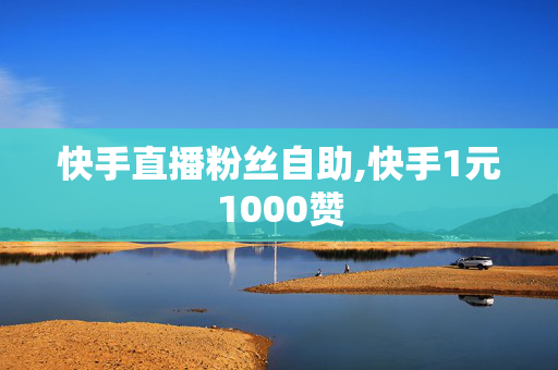 快手直播粉丝自助,快手1元1000赞