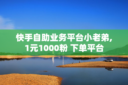 快手自助业务平台小老弟,1元1000粉 下单平台