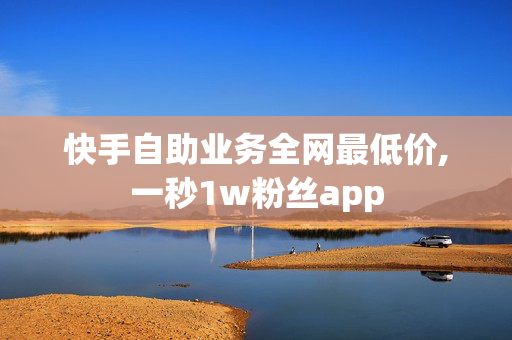 快手自助业务全网最低价,一秒1w粉丝app