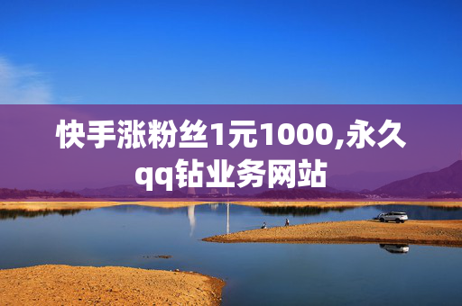 快手涨粉丝1元1000,永久qq钻业务网站