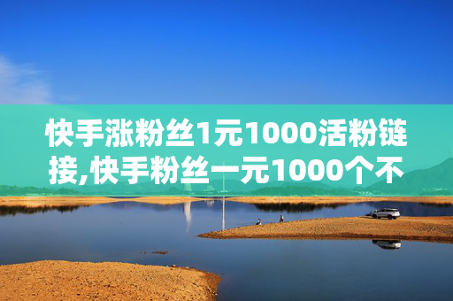 快手涨粉丝1元1000活粉链接,快手粉丝一元1000个不掉粉