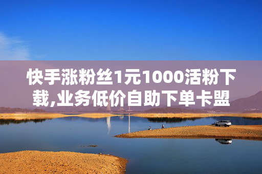 快手涨粉丝1元1000活粉下载,业务低价自助下单卡盟