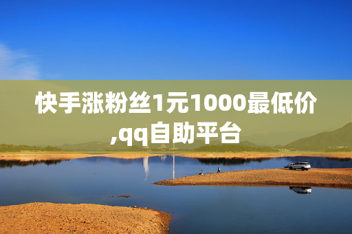 快手涨粉丝1元1000最低价,qq自助平台