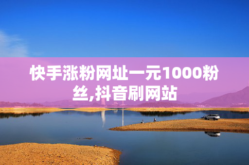 快手涨粉网址一元1000粉丝,抖音刷网站