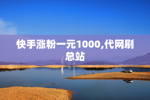 快手涨粉一元1000,代网刷总站