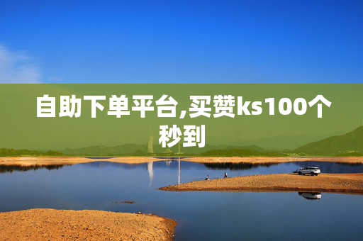 自助下单平台,买赞ks100个秒到