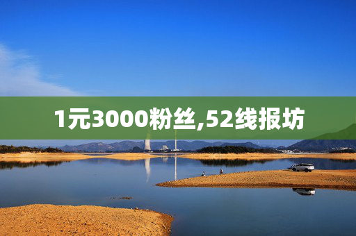 1元3000粉丝,52线报坊