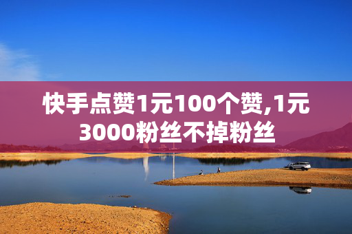 快手点赞1元100个赞,1元3000粉丝不掉粉丝