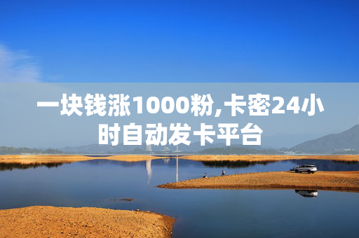 一块钱涨1000粉,卡密24小时自动发卡平台