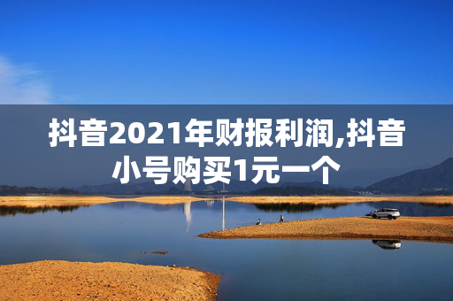 抖音2021年财报利润,抖音小号购买1元一个