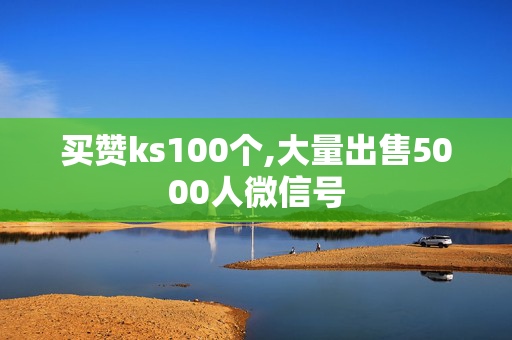 买赞ks100个,大量出售5000人微信号