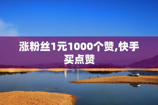 涨粉丝1元1000个赞,快手买点赞