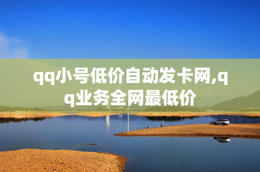 qq小号低价自动发卡网,qq业务全网最低价