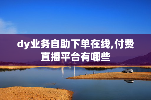 dy业务自助下单在线,付费直播平台有哪些