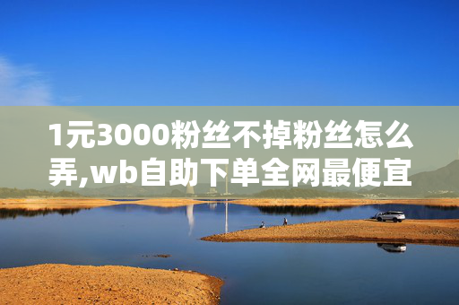 1元3000粉丝不掉粉丝怎么弄,wb自助下单全网最便宜