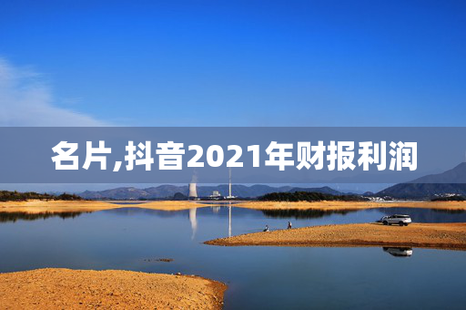 名片,抖音2021年财报利润