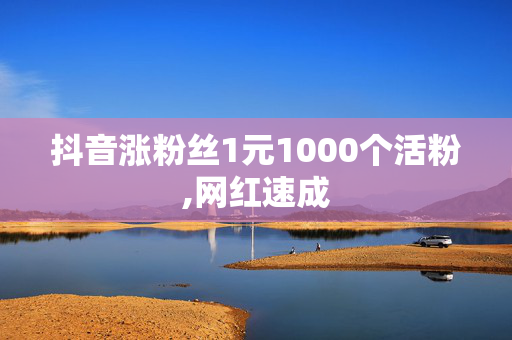 抖音涨粉丝1元1000个活粉,网红速成