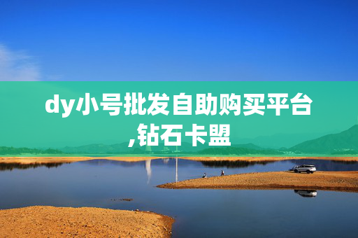 dy小号批发自助购买平台,钻石卡盟