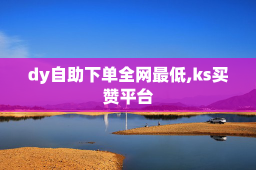 dy自助下单全网最低,ks买赞平台