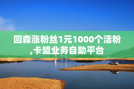 回森涨粉丝1元1000个活粉,卡盟业务自助平台