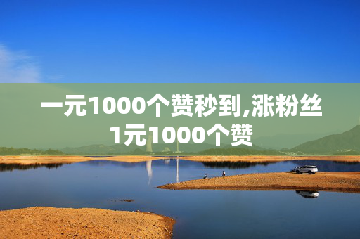 一元1000个赞秒到,涨粉丝1元1000个赞