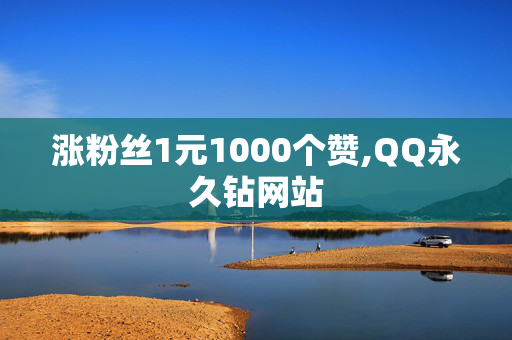 涨粉丝1元1000个赞,QQ永久钻网站