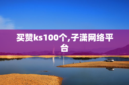 买赞ks100个,子潇网络平台