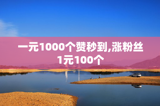 一元1000个赞秒到,涨粉丝1元100个