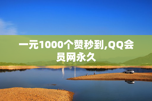 一元1000个赞秒到,QQ会员网永久