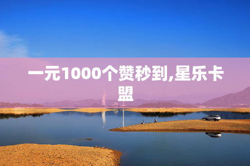 一元1000个赞秒到,星乐卡盟