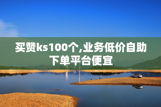 买赞ks100个,业务低价自助下单平台便宜