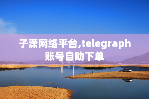 子潇网络平台,telegraph账号自助下单