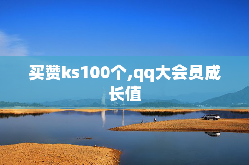 买赞ks100个,qq大会员成长值