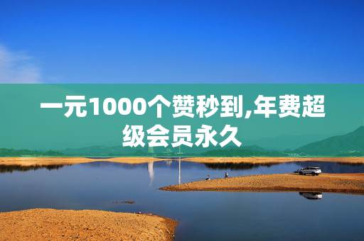 一元1000个赞秒到,年费超级会员永久