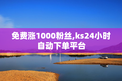 免费涨1000粉丝,ks24小时自动下单平台