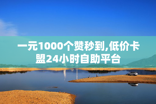 一元1000个赞秒到,低价卡盟24小时自助平台