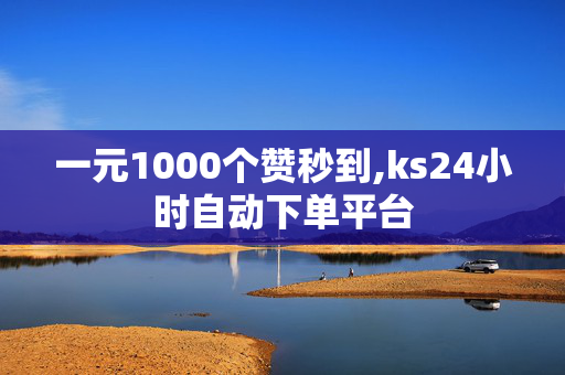 一元1000个赞秒到,ks24小时自动下单平台