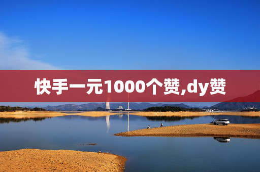 快手一元1000个赞,dy赞