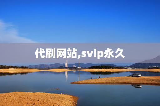 代刷网站,svip永久