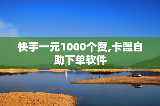 快手一元1000个赞,卡盟自助下单软件