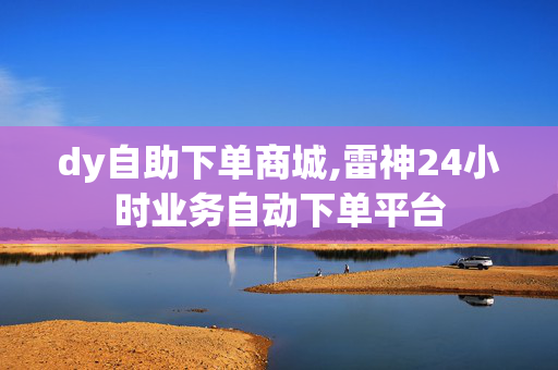 dy自助下单商城,雷神24小时业务自动下单平台