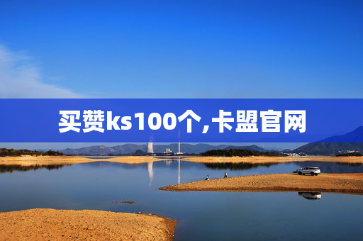 买赞ks100个,卡盟官网