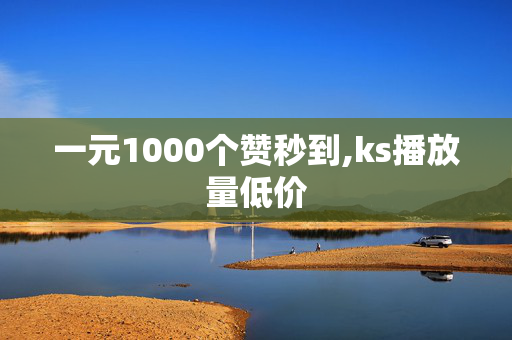 一元1000个赞秒到,ks播放量低价