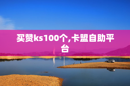 买赞ks100个,卡盟自助平台