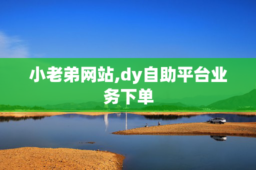 小老弟网站,dy自助平台业务下单