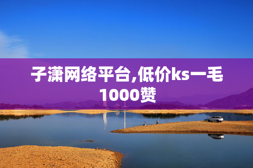 子潇网络平台,低价ks一毛1000赞