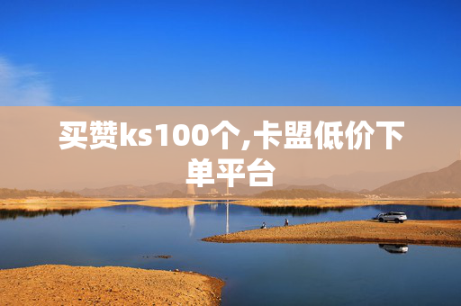 买赞ks100个,卡盟低价下单平台