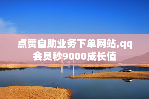 点赞自助业务下单网站,qq会员秒9000成长值