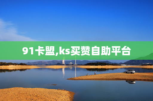 91卡盟,ks买赞自助平台