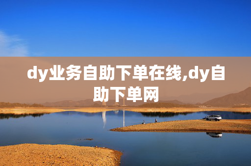 dy业务自助下单在线,dy自助下单网